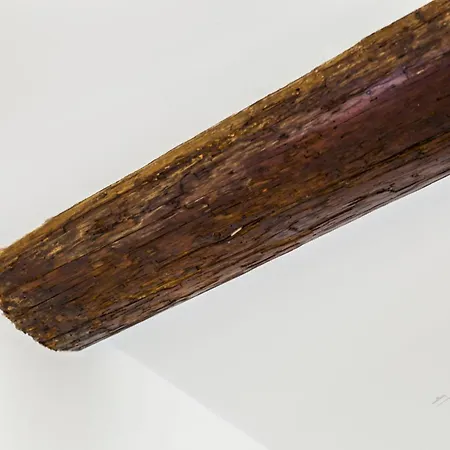 Apartamento Acquario 3', 2br, Ac, Wifi & Netflix By Tilo